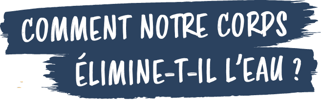  COMMENT NOTRE CORPS, LIMINE T IL L’EAU 