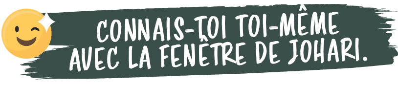 Connais toi toi m me avec la fen tre de Johari