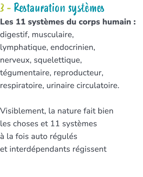 3 Restauration syst mes Les 11 syst mes du corps humain : digestif, musculaire, lymphatique, endocrinien, nerveux, sq...