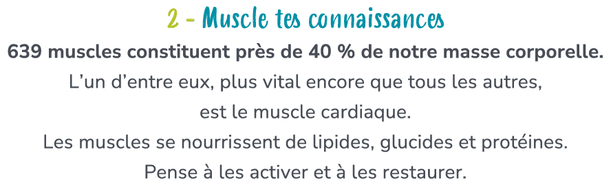 2 Muscle tes connaissances 639 muscles constituent pr s de 40 % de notre masse corporelle. L’un d’entre eux, plus vit...
