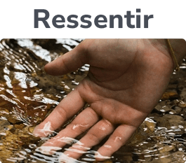 Ressenti