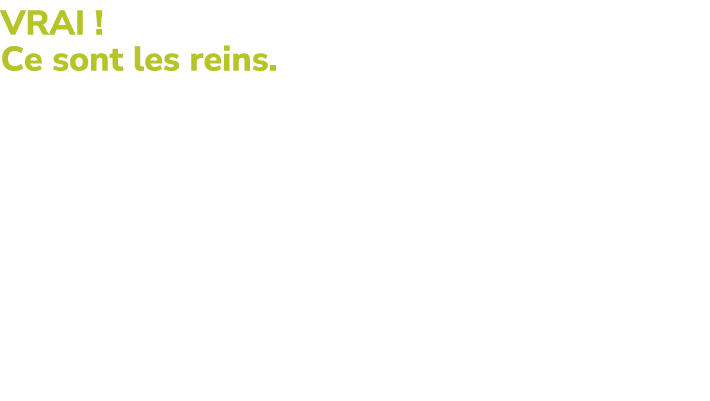 VRAI ! Ce sont les reins. L’organisme limine de fa on permanente de l’eau. Elle est  limin e principalement par l’ur...