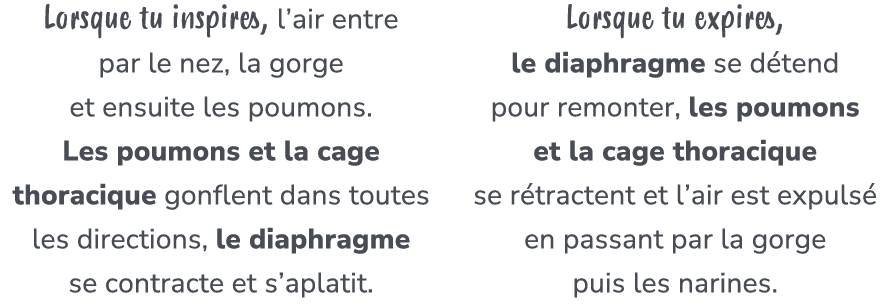 Lorsque tu inspires, l’air entre par le nez, la gorge et ensuite les poumons. Les poumons et la cage thoracique gonfl...