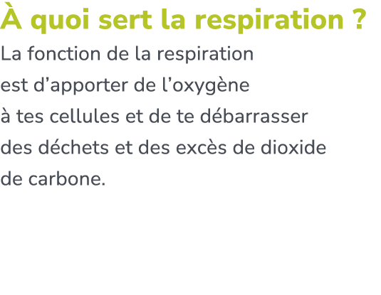  quoi sert la respiration ? La fonction de la respiration est d’apporter de l’oxyg ne   tes cellules et de te d barr...