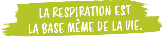 La respiration est la base m me de la vie.