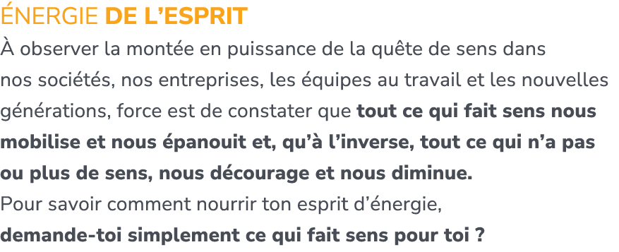  nergie de l’esprit  observer la mont e en puissance de la qu te de sens dans nos soci t s, nos entreprises, les  qu...