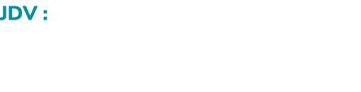 JDV : Quelles sont les pathologies cons quentes d’une mauvaise qualit de l’air ? 