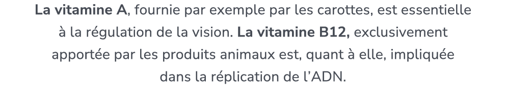 La vitamine A, fournie par exemple par les carottes, est essentielle  la r gulation de la vision. La vitamine B12, e...