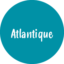 $$$/StateType/Normal