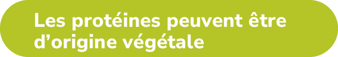 Les prot ines peuvent tre d’origine v g tal