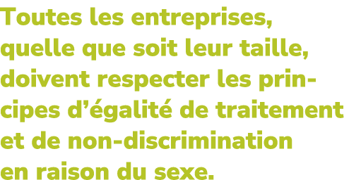 Toutes les entreprises, quelle que soit leur taille, doivent respecter les principes d’ galit de traitement et de no...