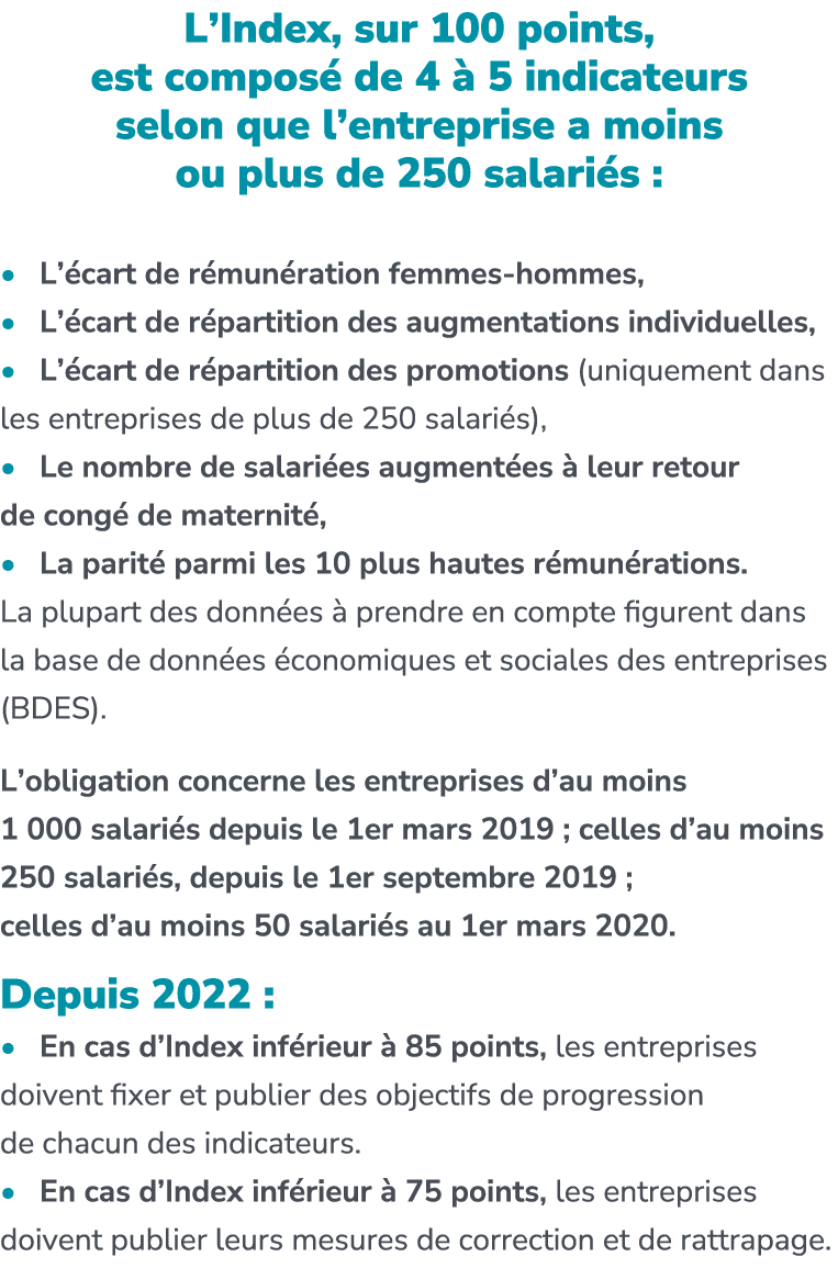 L’Index, sur 100 points, est compos de 4   5 indicateurs selon que l’entreprise a moins ou plus de 250 salari s : • ...