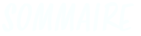 SOMMAIRE