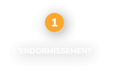 $$$/StateType/Normal