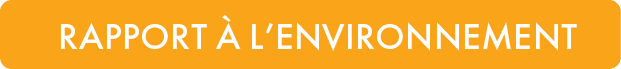 RAPPORT  L’ENVIRONNEMEN