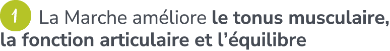 ￼ La Marche am liore le tonus musculaire, la fonction articulaire et l’ quilibre