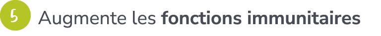 ￼ Augmente les fonctions immunitaires