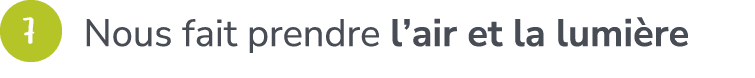 ￼ Nous fait prendre l’air et la lumi re