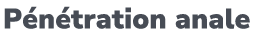 P n tration anale
