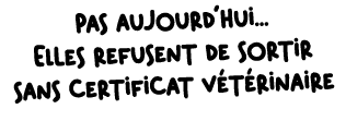 Pas aujourd’hui... Elles refusent de sortir sans certificat v t rinaire