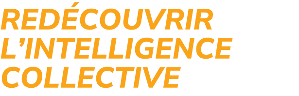 Red couvrir l’Intelligence Collective