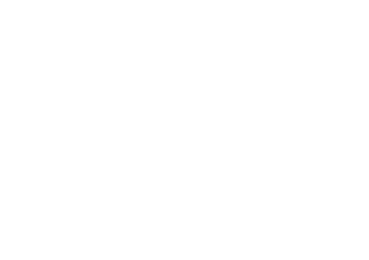 retrouve ici le rapport complet de terranova en .pd